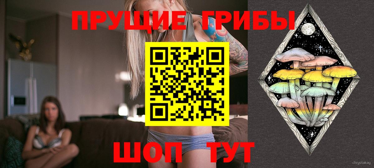 Галлюциногенные грибы Magic Shrooms  Вход с VPN  Советск 